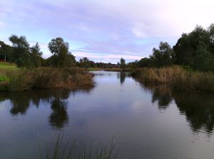 A Torrens folyó