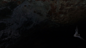 Amit nem szívesen lát az ember egy éjsötét barlangban (jobb alul)